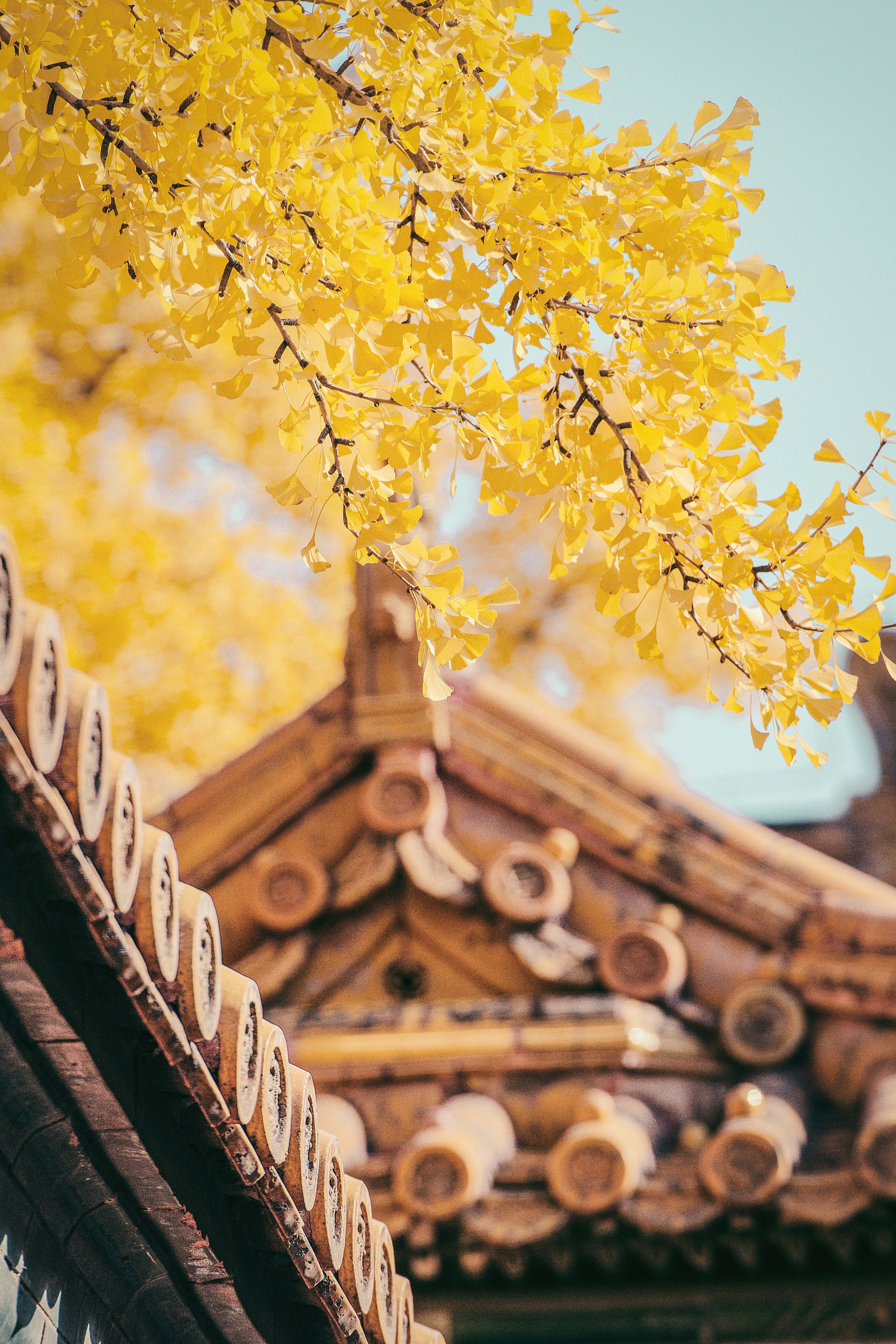 pexels-zhang-kaiyv-3210189.jpg